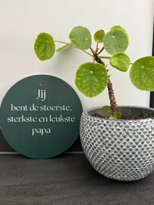 Tekstbord rond: Leukste papa